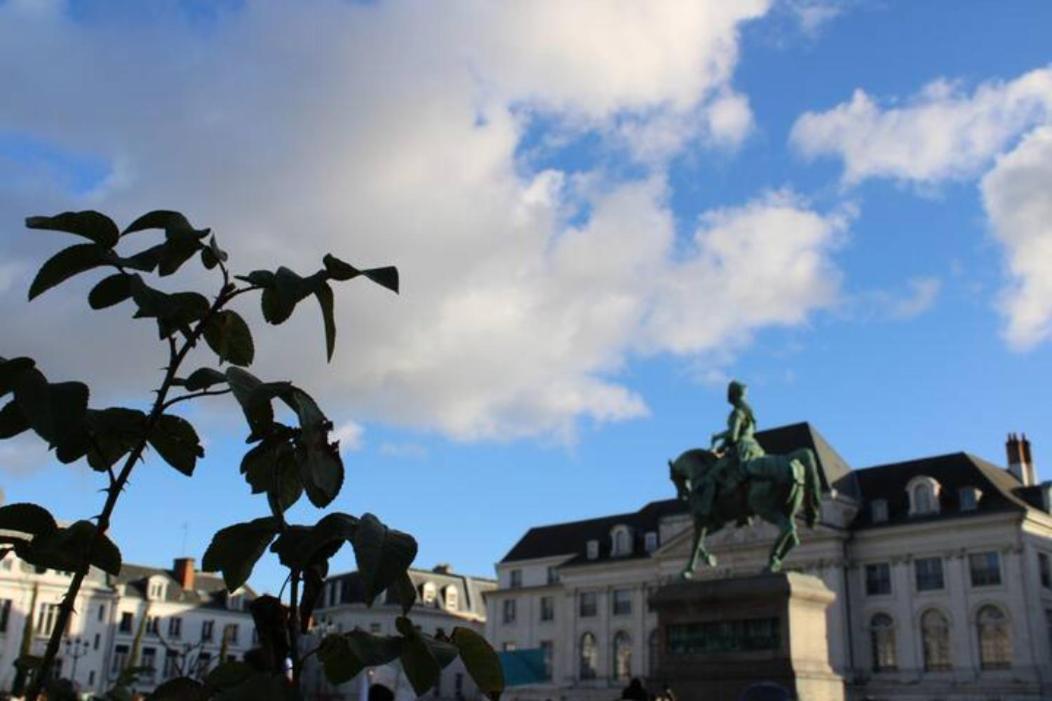 Le Scandinave, Proche Bord De Loire Orleans Exterior photo
