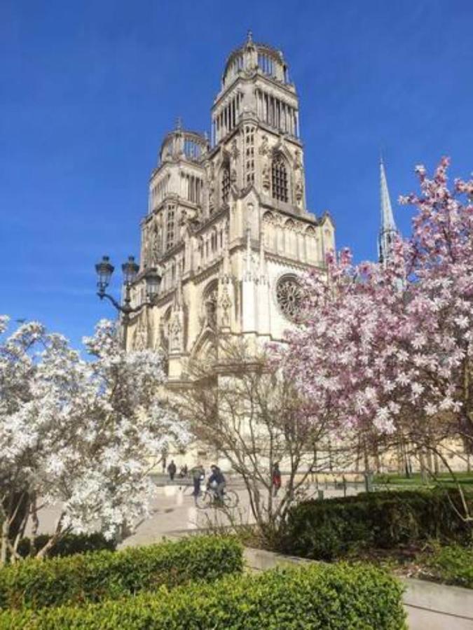 Le Scandinave, Proche Bord De Loire Orleans Exterior photo